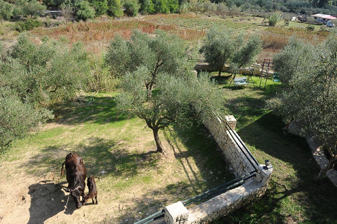 Ammos Zante Villas Vasilikos  Luaran gambar